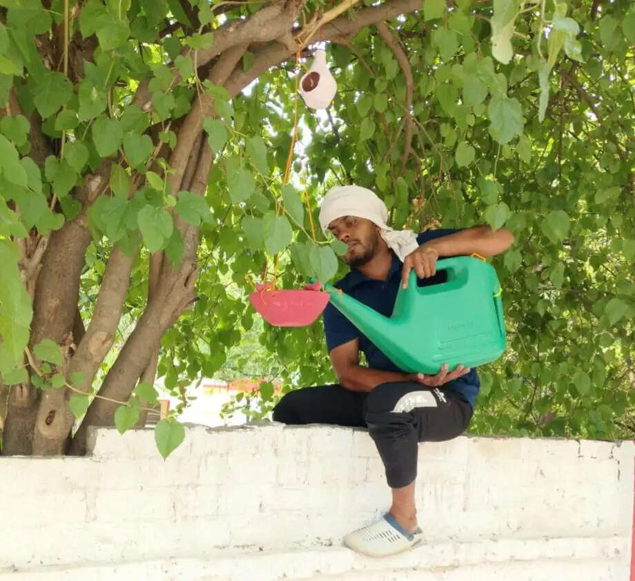वाराणसी : बेजुबानों पक्षियों को मिली 'नगर निगम की छाया,एक साथ 2,000 घोंसले लगवाए