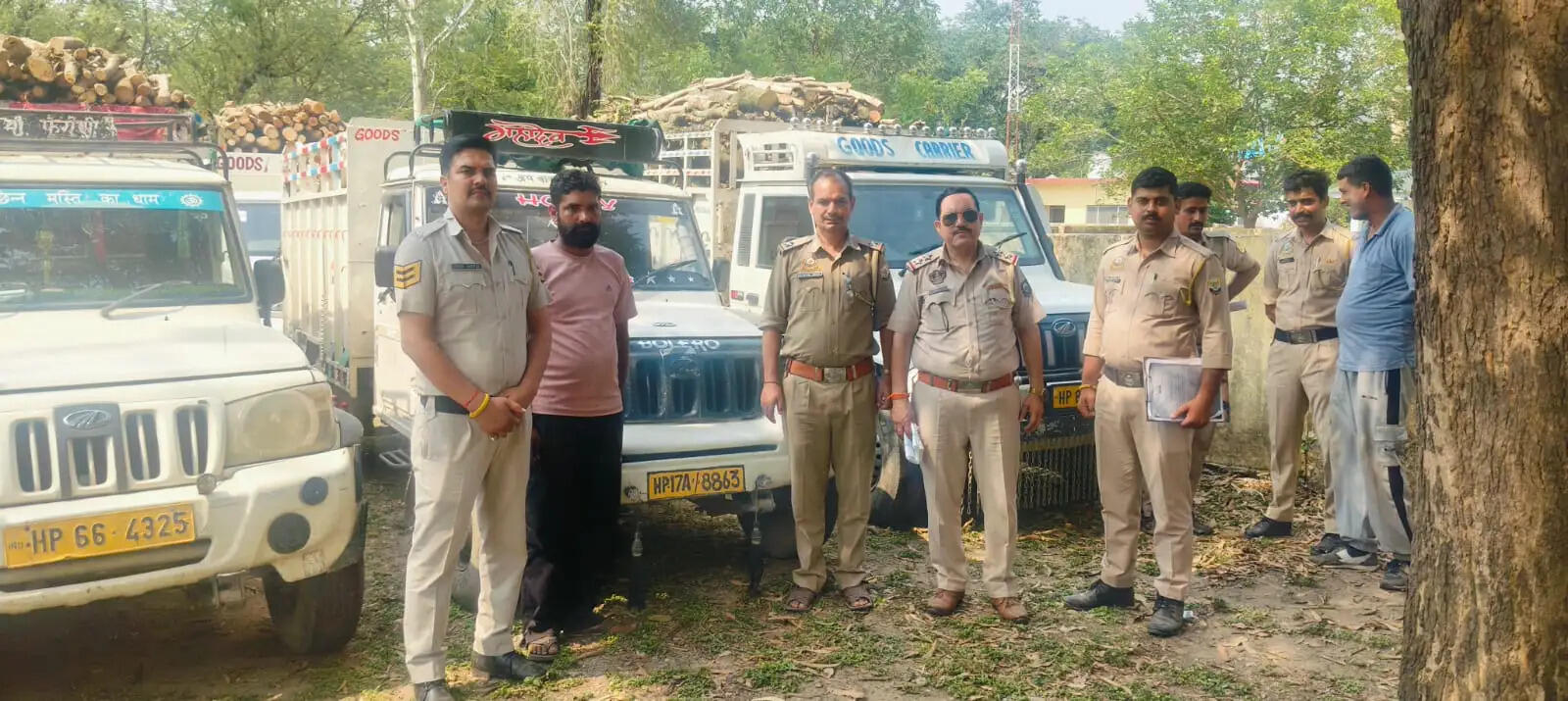 नूरपुर पुलिस ने अवैध लकड़ी ले जाते सात वाहन पकड़े, तीन मामले दर्ज
