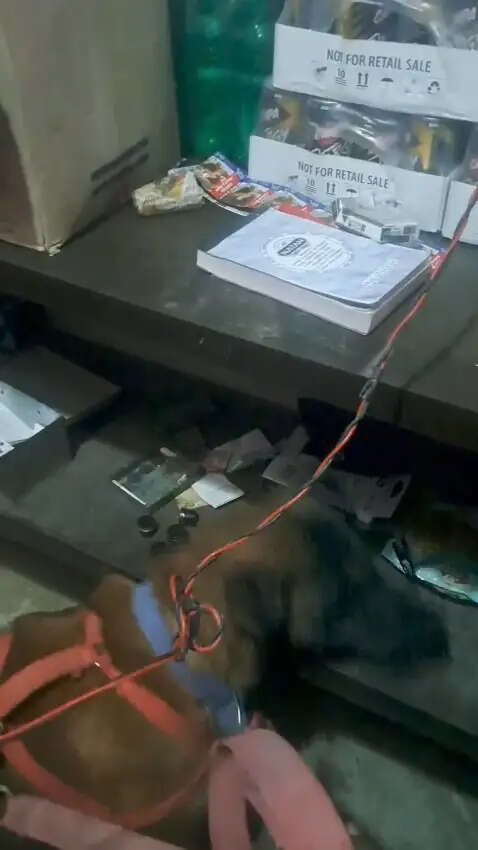 डॉग स्क्वॉड की मदद से पकड़ी अफीम व डोडा चूरा