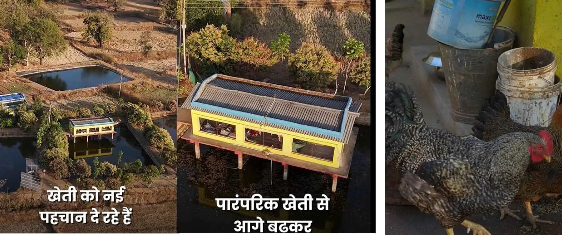 अपनी मेहनत और नवाचार से खेती को नई पहचान दे रहा छत्तीसगढ के युवा किसान अंकित