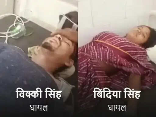 अनूपपुर: मधुमक्खियों के हमले से दंपति घायल, हालत खतरे से बाहर