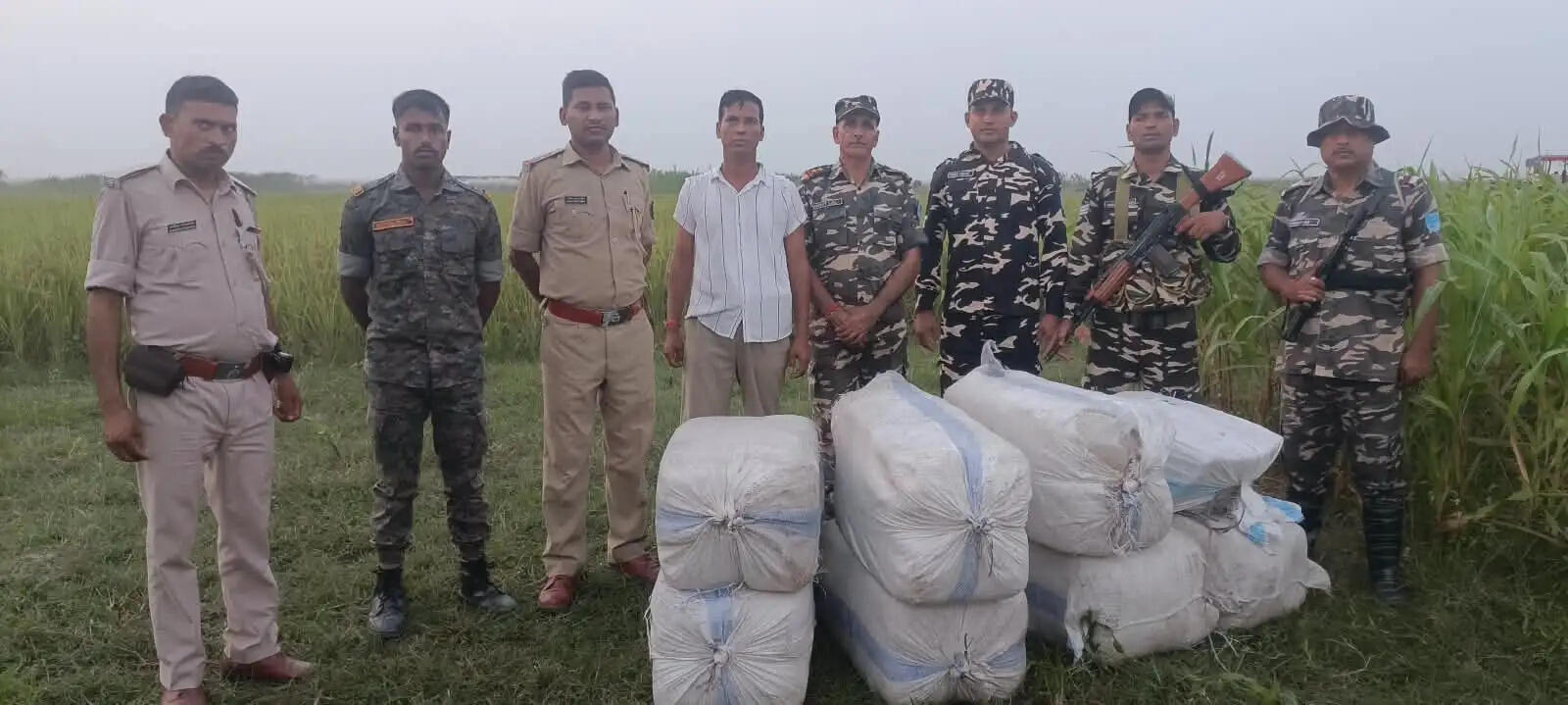 एसएसबी और बिहार पुलिस की संयुक्त कार्रवाई में 235 किलो गांजा बरामद