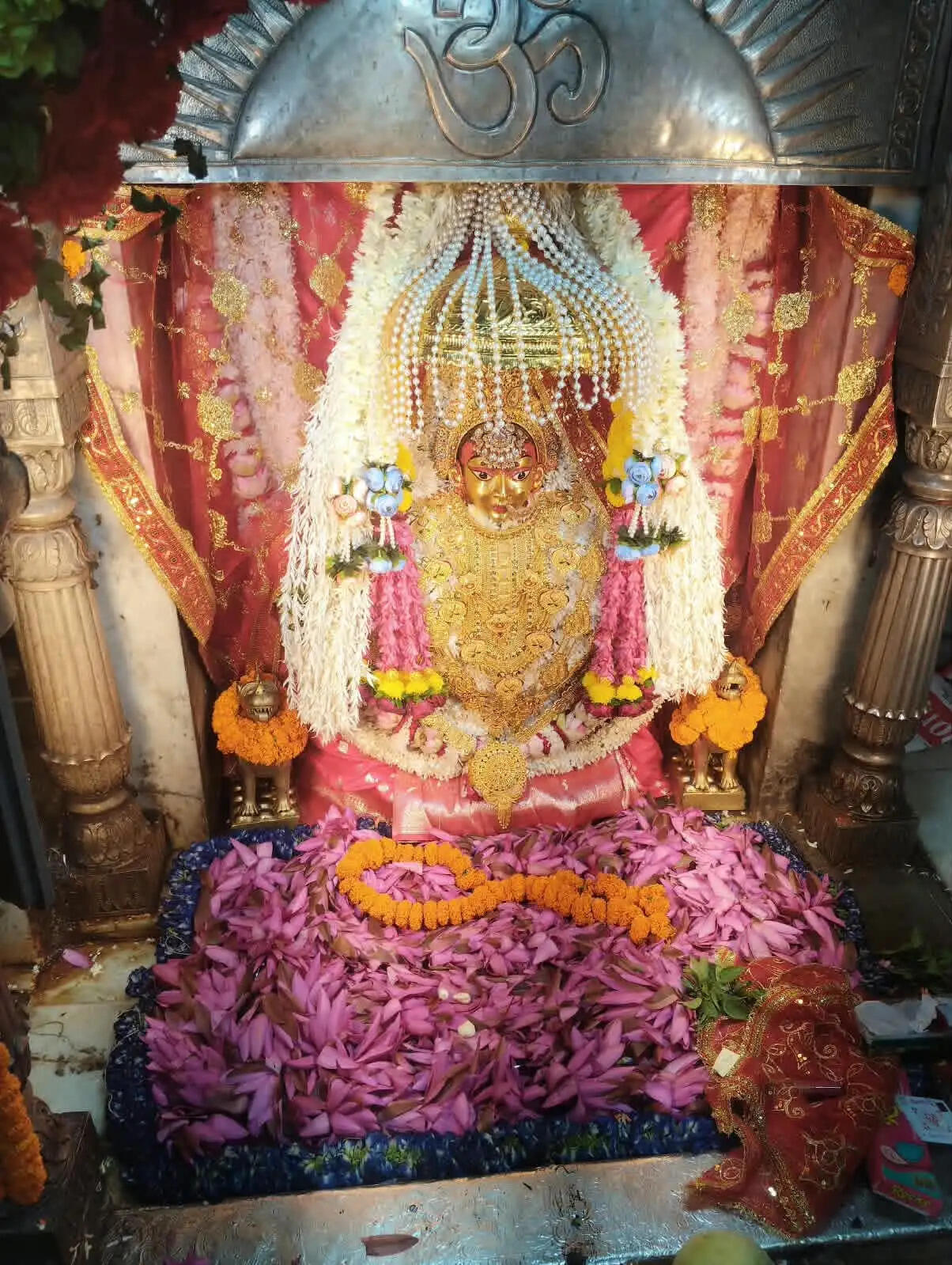 मां कूष्मांडा के दरबार में उमड़ा आस्था का सैलाब, जीवन की बाधाओं से मुक्ति के लिए श्रद्धालुओं ने टेका मत्था
