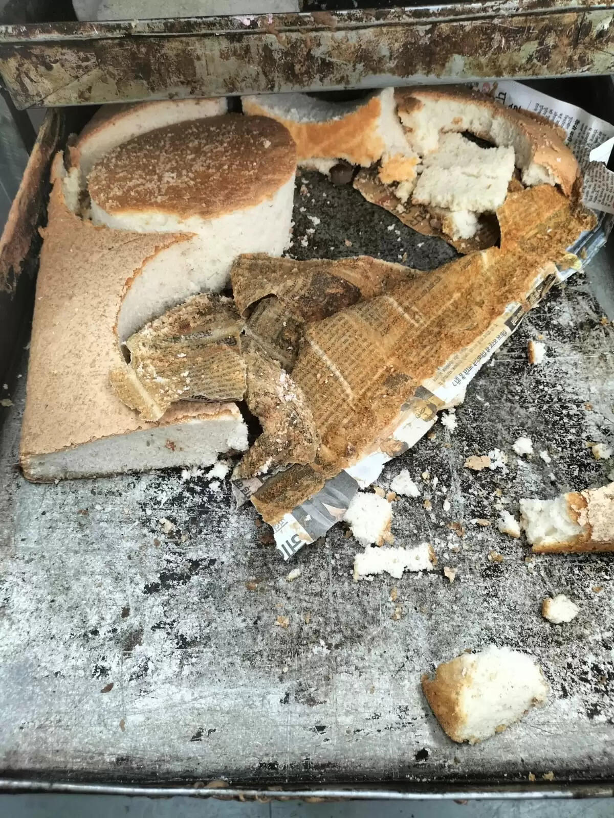 अखबार के पेपर का केक रखने में किया जा रहा था इस्तेमाल