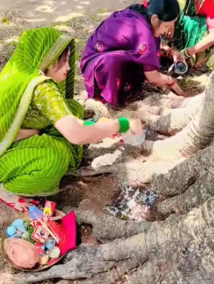 बट सावित्री व्रत पर सुहागिनों ने मांगी अखंड सौभाग्य की कामना, अमरकंटक में श्रद्धालुओं ने लगाई आस्था की डुबकी