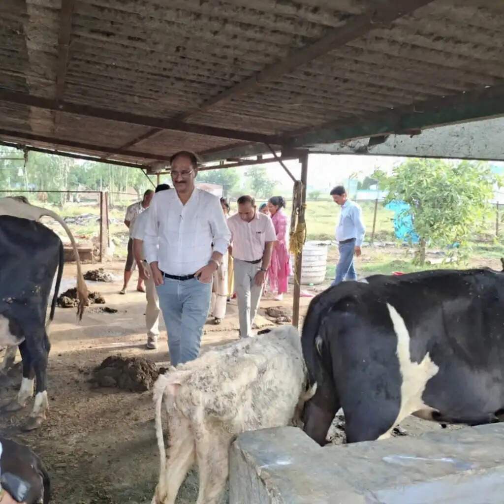 दुग्ध समितियों में पहुंचे अपर सचिव सुरेश जोशी, योजनाओं के लाभ का लिया जायजा