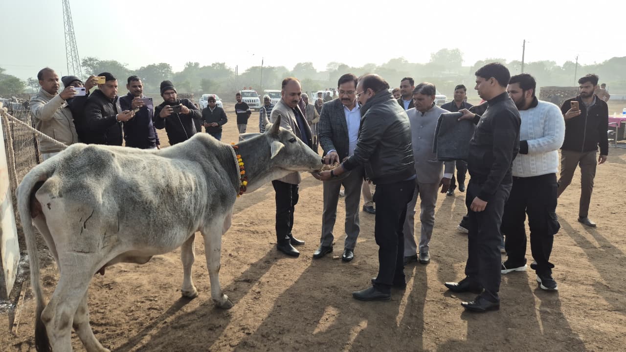 जिलाधिकारी ने गौशाला का किया निरीक्षण, गायों को पहनाए काऊ कोट