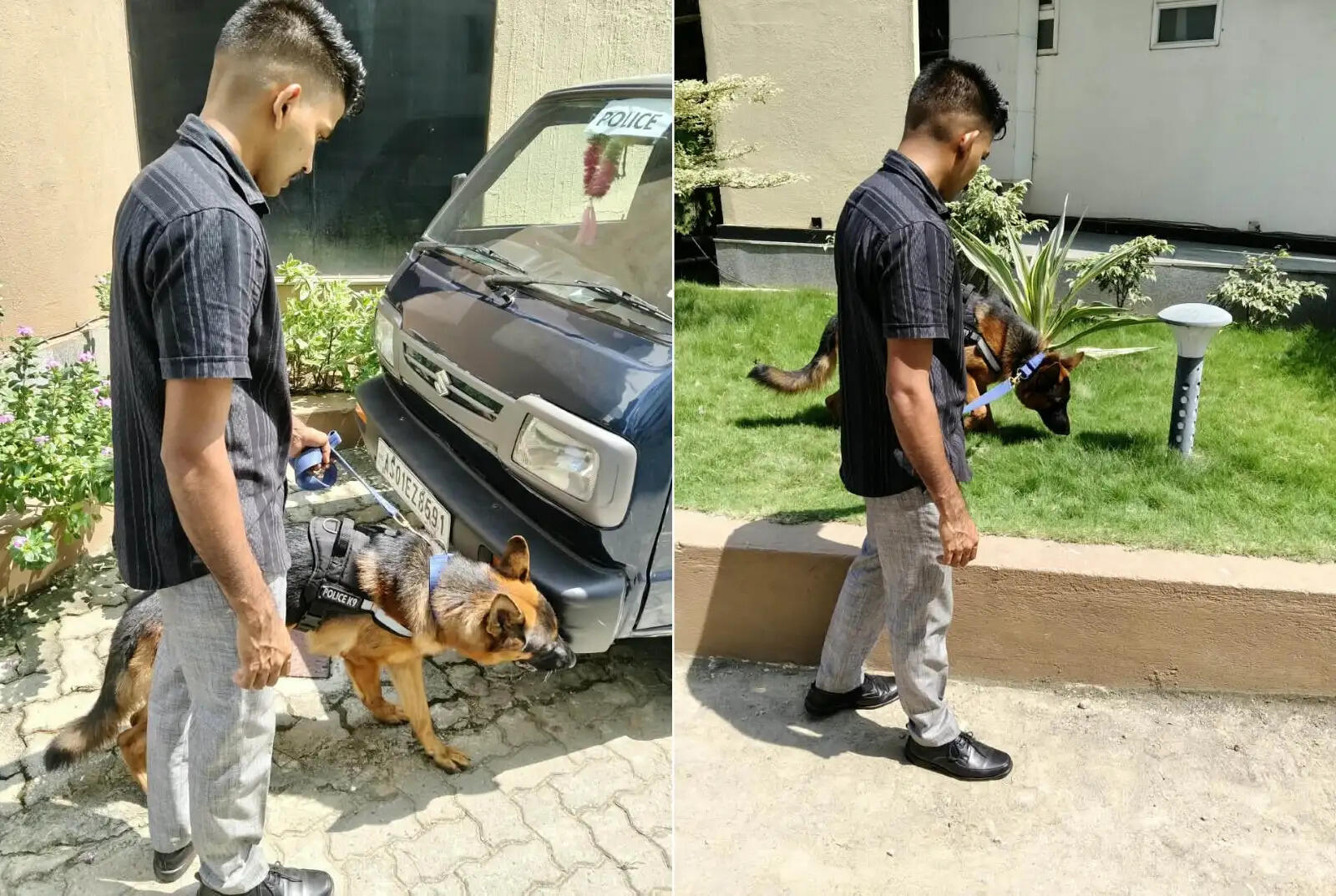 भारत-वेस्टइंडीज मैच से पहले एसीए स्टेडियम में एसएसबी डॉग स्क्वाड ने की एंटी-सबोटाज जांच