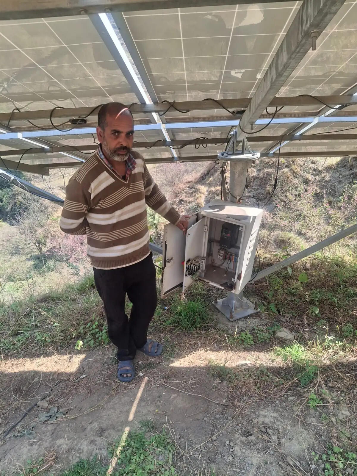 सफलता की कहानीः सौर ऊर्जा की चमक से खेतों को मिली नई ऊर्जा