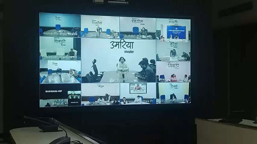 जल्द पूरा करें शत-प्रतिशत मैपिंग और डिजिटाइजेशन का कार्य : सीईओ संजीव कुमार झा