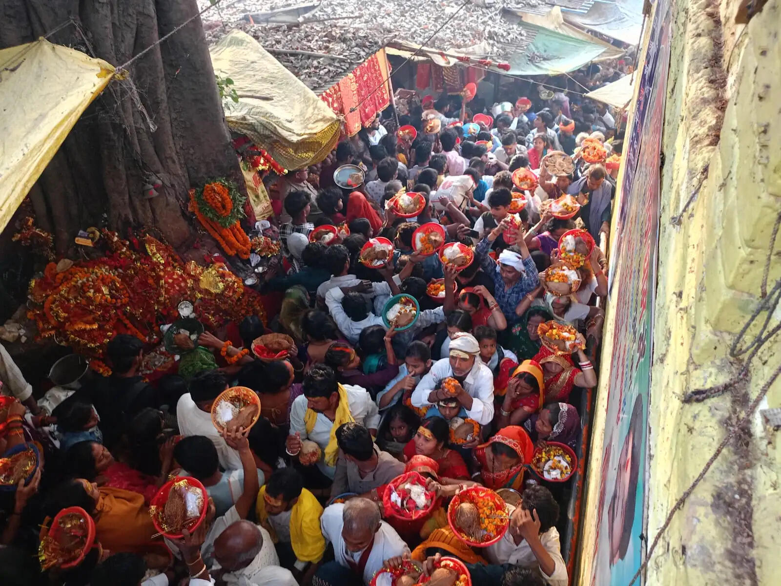 दो लाख श्रद्धालुओं ने शीतला धाम में टेका माथा, आस्था का उमड़ा सैलाब