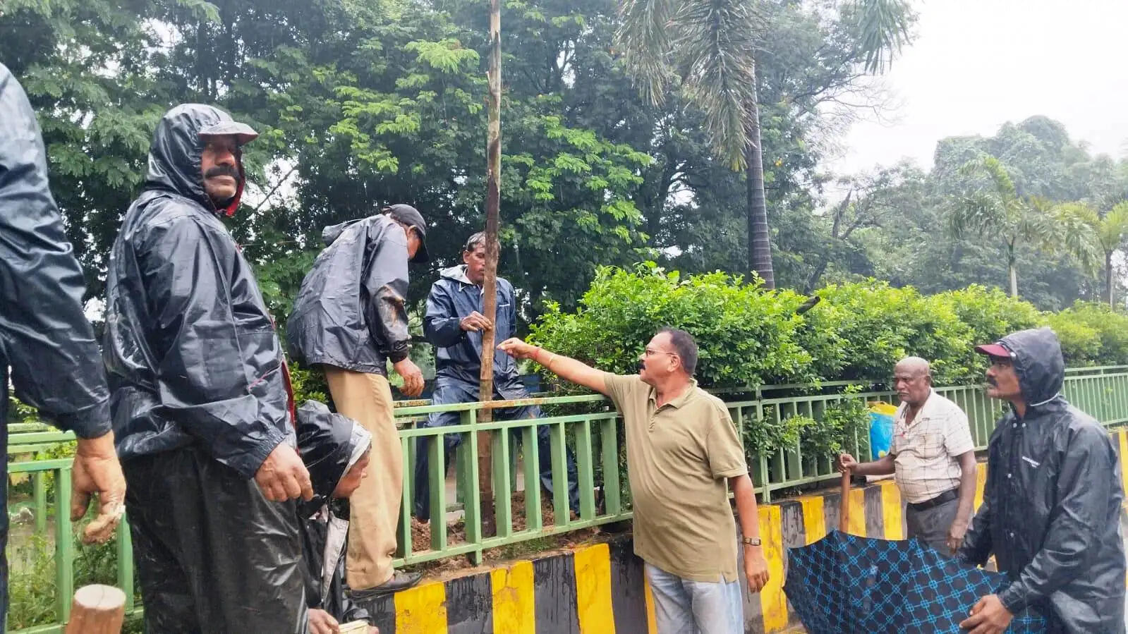 घंटाघर से महाराणा प्रताप चौक मार्ग पर हुआ वृक्षारोपण, हरित कोरबा के संकल्प को मिली नई गति