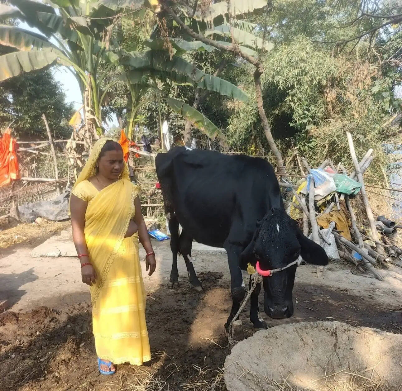 गो संरक्षण के संकल्प को सिद्ध कर रही योगी सरकार