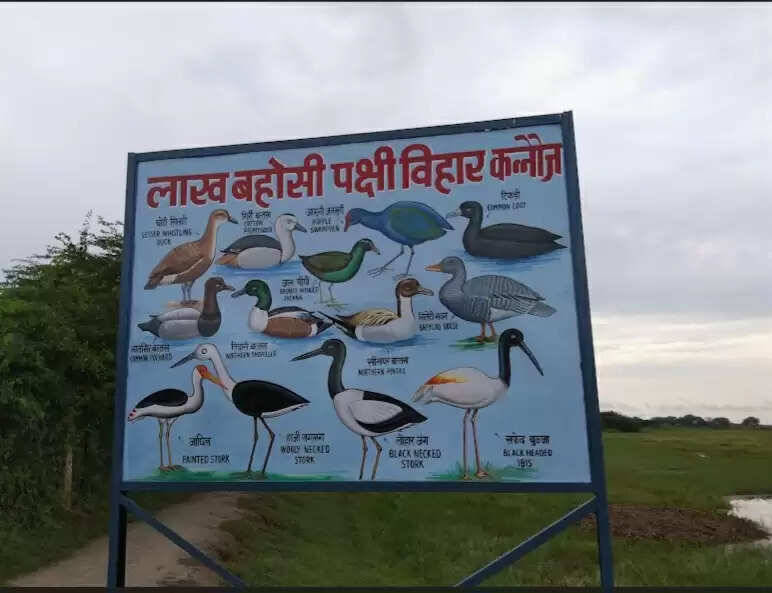 कन्नौज : समाज कल्याण मंत्री ने लाख बहोसी पक्षी विहार के विकास की बनाई याेजना, अधिकारियाें से की चर्चा