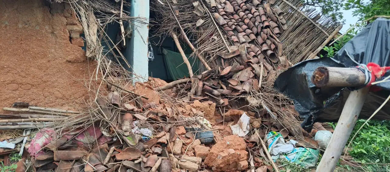 अनूपपुर: 38 दिन बाद लौटा हाथियों का झुंड, वन विभाग और ग्रामीणों ने ली राहत की सांस