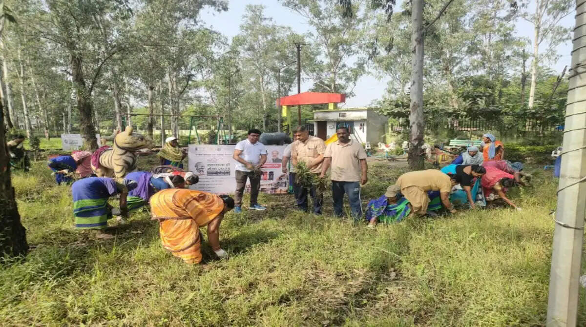 दीपका में स्वच्छता ही सेवा अभियान के तहत श्रमदान, पुष्प वाटिका में जनप्रतिनिधियों और नागरिकों ने की सफाई