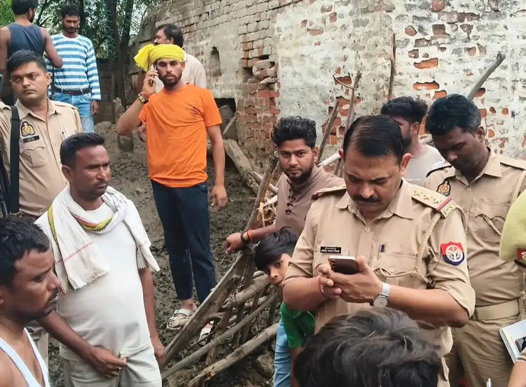 आवारा कुत्तों के झुंड ने 40 भेड़ों को नोचा, पशुपालक को लाखों का नुकसान
