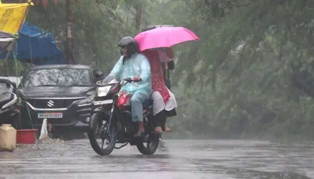 मध्य प्रदेश के जबलपुर-रीवा-शहडोल में कल से 3 दिन भारी बारिश की चेतावनी, आज शिवपुरी-श्योपुर में अलर्ट