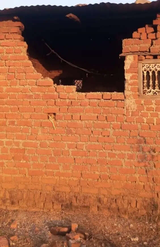 तीन हाथियों का आतंक: जैतहरी क्षेत्र में किसानों की फसलें बर्बाद, ग्रामीणों में बढ़ी नाराजगी