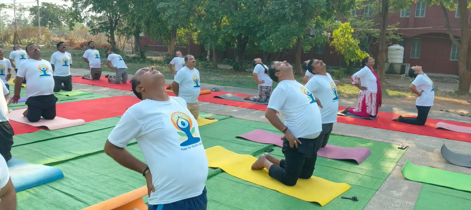 कोरबा : पीएम श्री स्कूल, जवाहर नवोदय विद्यालय, सलोरा में अंतर्राष्ट्रीय योग दिवस का भव्य आयोजन