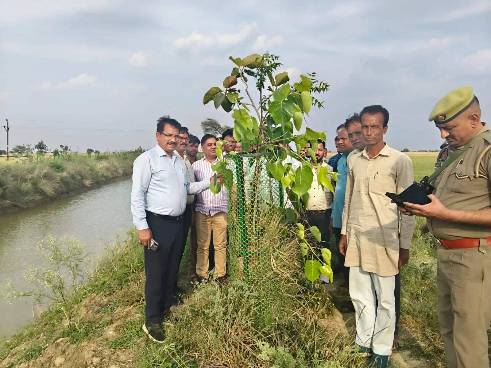 नदी नदी क्षेत्र में लगे हरीशंकरी पौधाें को विकसित देख डीएम ने व्यक्त की प्रसन्नता