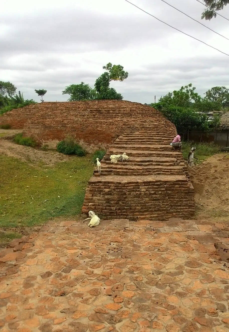 मिथिला के ऐतिहासिक बलिराजगढ़ में फिर शुरू होगा एएसआई उत्खनन