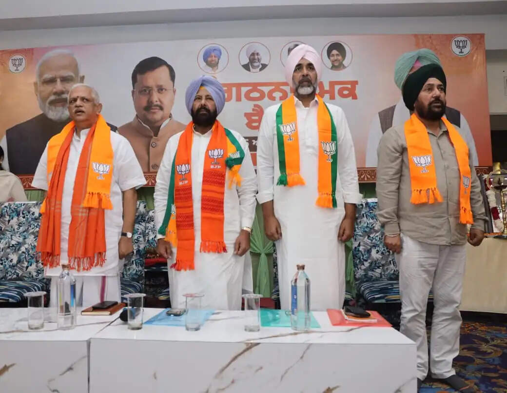 यूपी-बिहार विकास की राह पर, पंजाब रह गया&nbsp;पीछे : बीएल संतोष