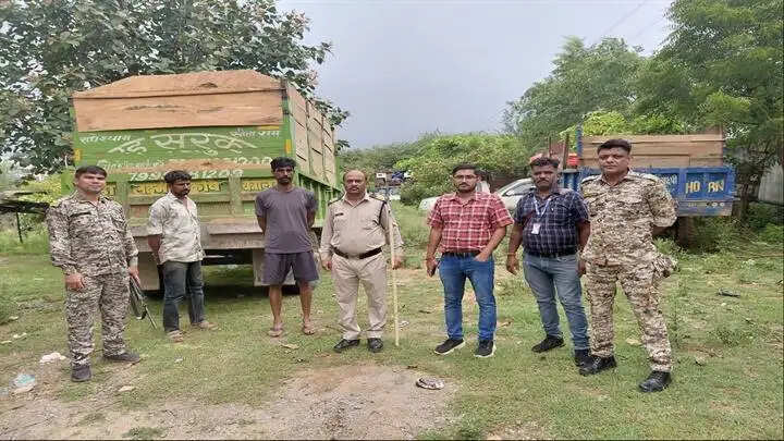 ग्वालियरः रेत के अवैध परिवहन में लिप्त 10 ट्रेक्टर-ट्रॉली जब्त