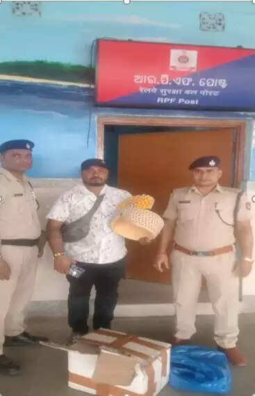 दक्षिण पूर्व रेलवे में आरपीएफ ने यात्रियों का खोया सामान लौटाया