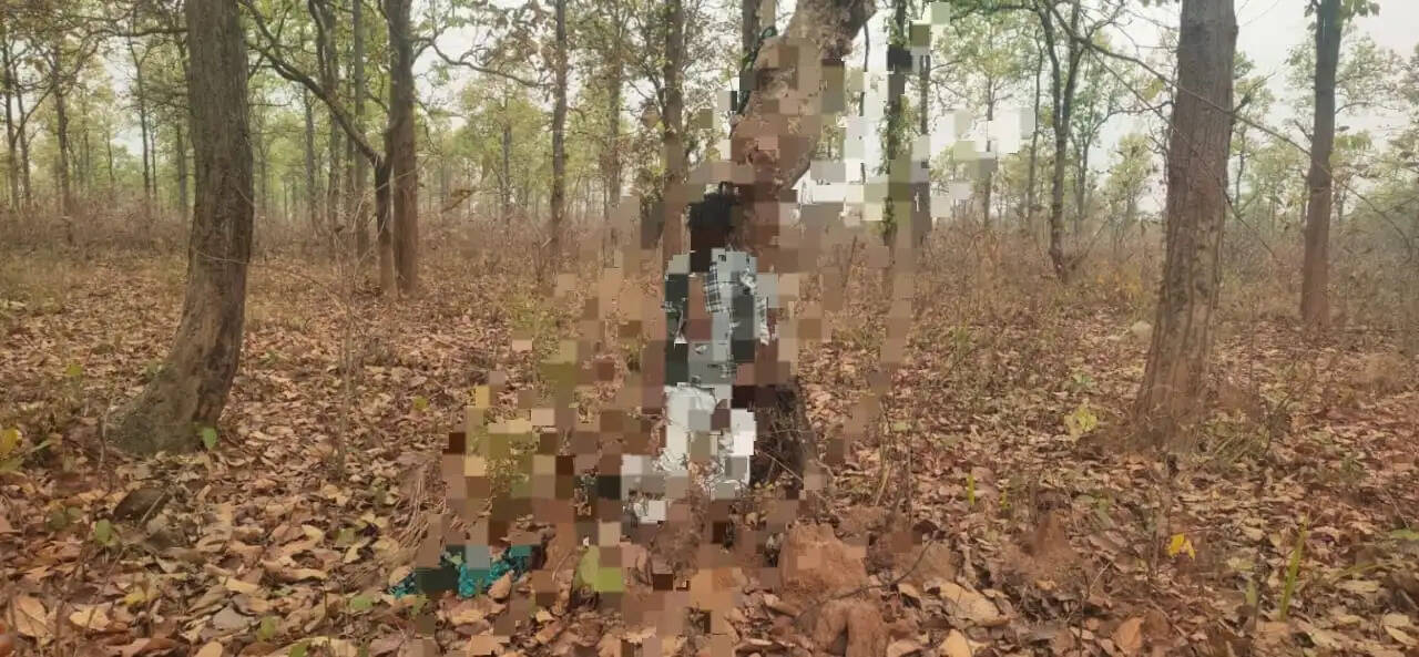 कोरबा : करूमौहा जंगल में पेड़ से लटका मिला युवक का शव, जांच में जुटी पुलिस