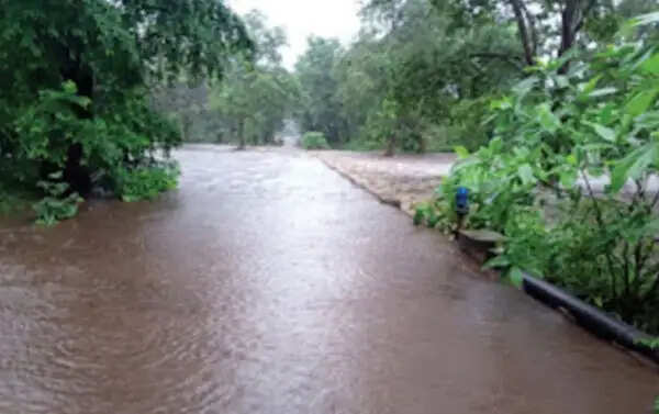 जल्लावागू नाला उफान पर, दर्जनों गांवों का संपर्क जिला मुख्यालय से कटा