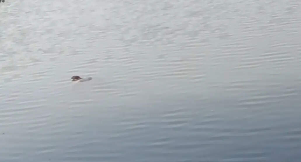 कानपुर में लापता 14 वर्षीय किशोर का शव झील में मिला