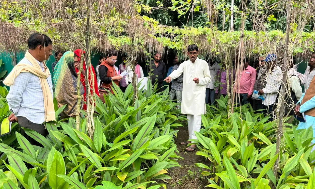 एक खेत, 45 फसलें और पानी की 80 फीसदी तक बचत! मल्टीलेयर कृषि से देशभर के किसान सीख रहे हैं आत्मनिर्भरता का मंत्र