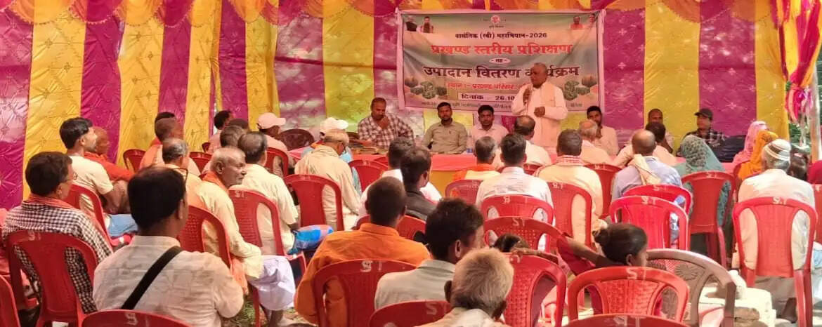 रासायनिक खाद से घट रही खेतों की उर्वरा शक्ति, देसी गाय के गोबर से बढ़ेगी मिट्टी की सेहत