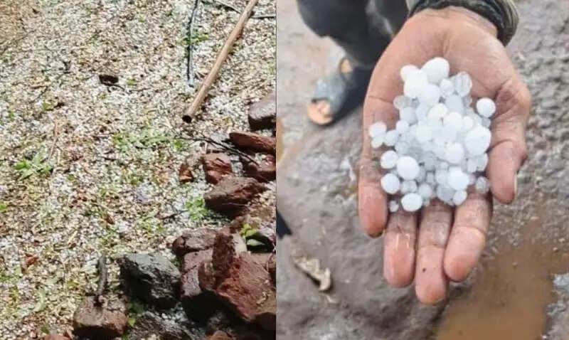 मप्र में बदला मौसम, भोपाल समेत कई जगह तेज बारिश, 6 जिलों में हुई ओलावृष्टि