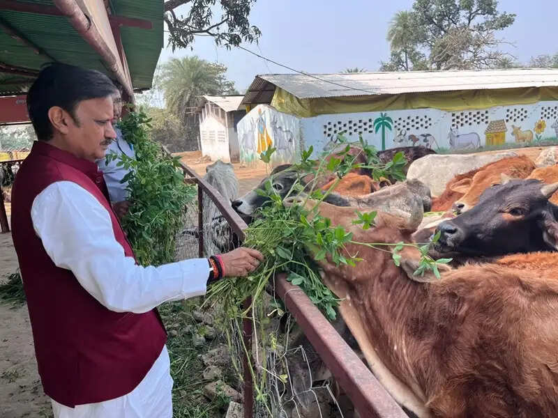 सुपर स्पेशलिटी अस्पताल में मरीजों को उपलब्ध हों तृतीयक स्तर की स्वास्थ्य सेवाएं : उप मुख्यमंत्री शुक्ल