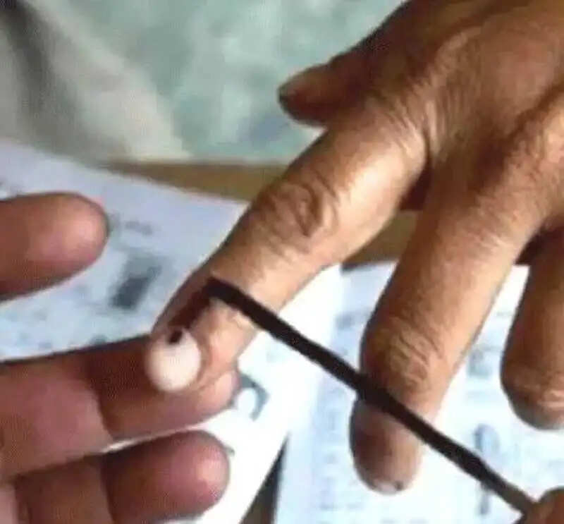 छत्तीसगढ़ में पंचायत और निकाय चुनाव के लिए मतदान जारी