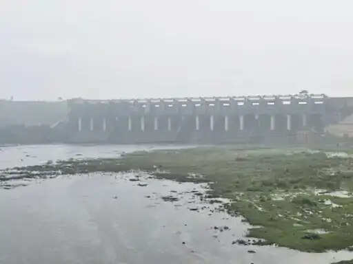 शहडोल: झमाझम बारिश के बावजूद बाणसागर डैम प्यासा, 18 प्रतिशत हिस्सा अभी भी खाली