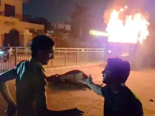 फरीदाबाद : ट्रक ने दस गायों को कुचला, छह की हुई मौत, गुस्साए लोगों ने ट्रक फूंका