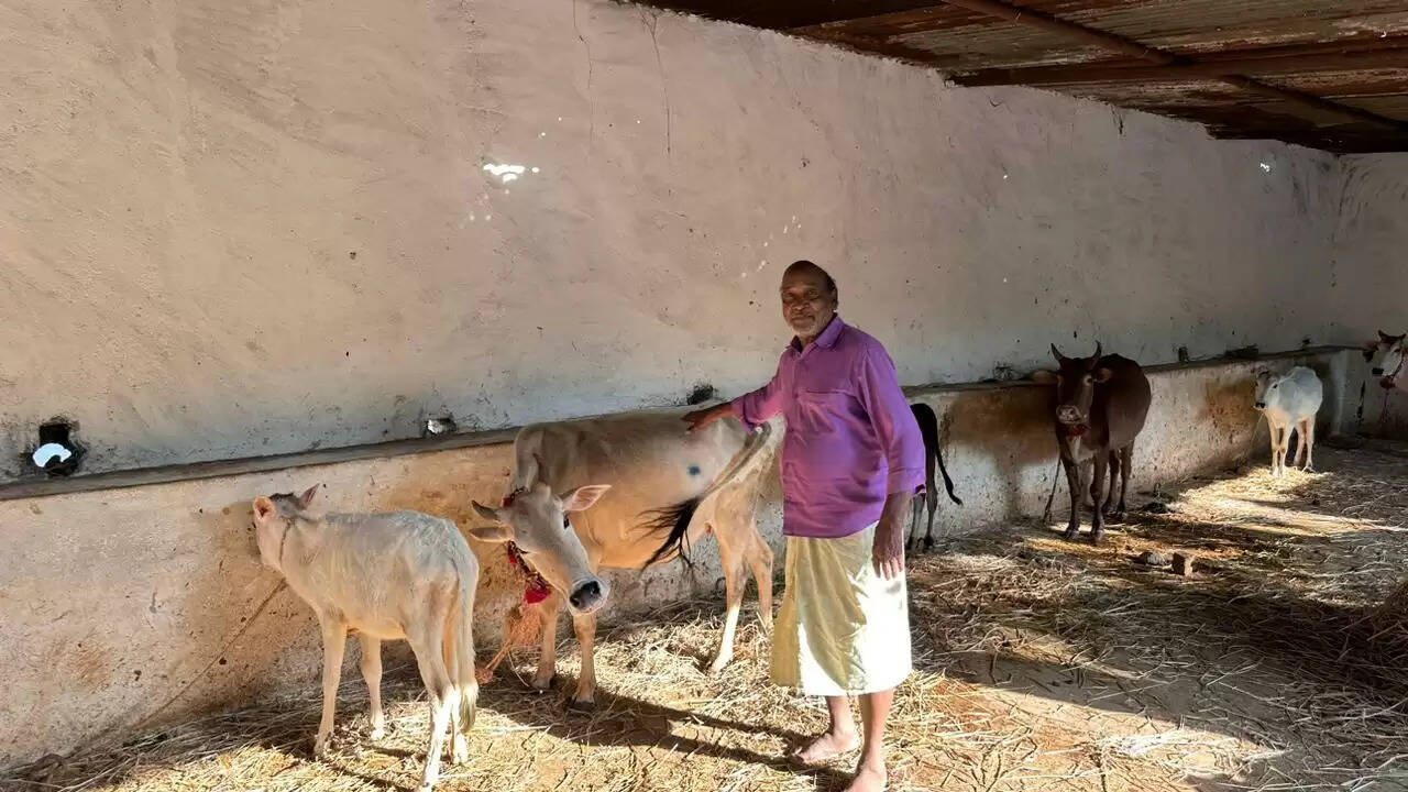 मनरेगा से बदली जिंदगी: हितग्राही को मिला सुरक्षित मवेशी आश्रयस्थल