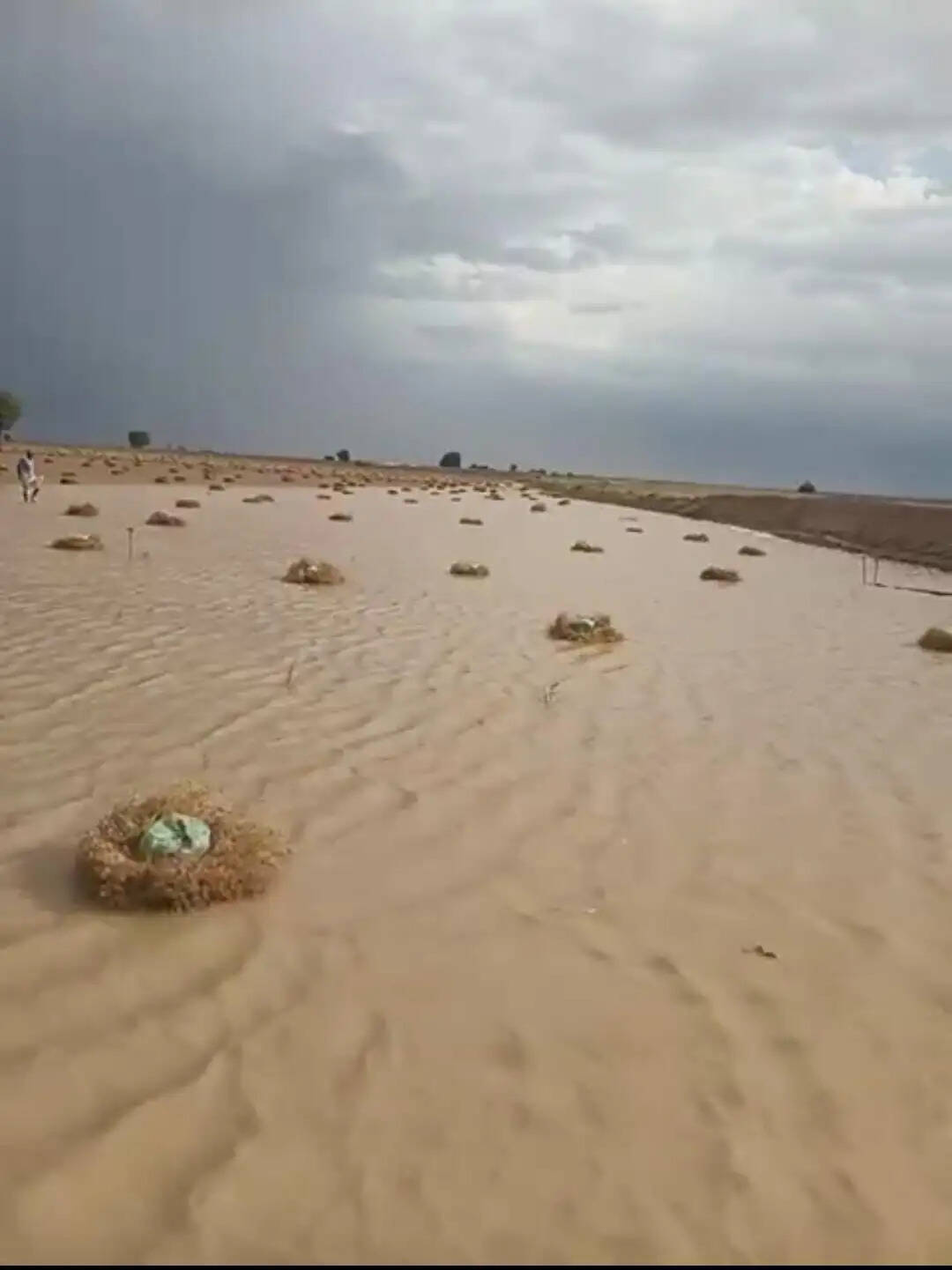 पश्चिम विक्षोभ का असर खत्म, अब सप्ताहभर नहीं चलेगी हीटवेव