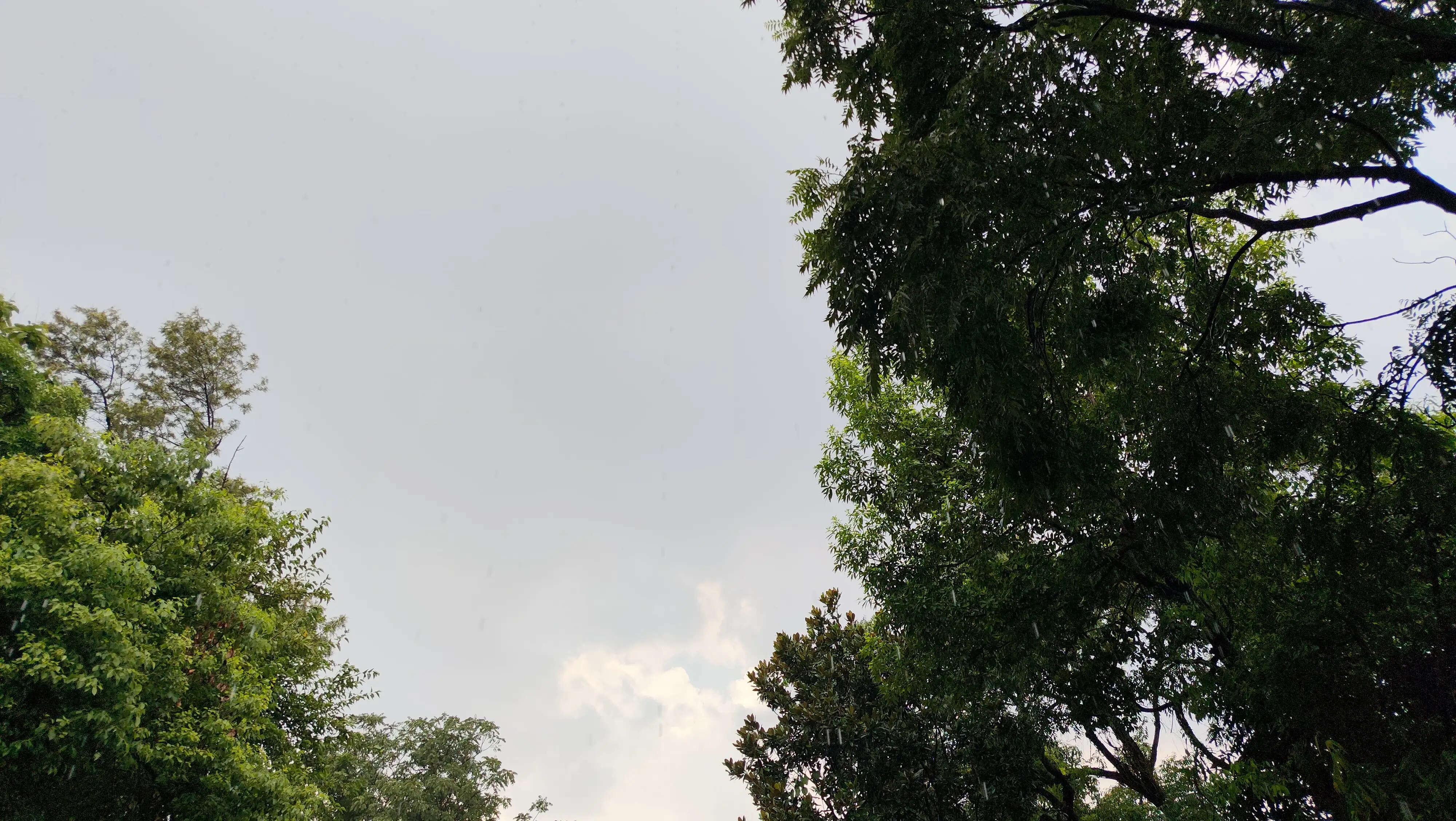 बारिश से मौसम हुआ सुहाना, गर्मी से मिली राहत
