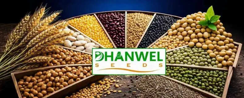 सब्सक्रिप्शन के लिए खुला धनवेल हाइब्रिड सीड्स का आईपीओ, 26 अगस्त को हो सकती है लिस्टिंग