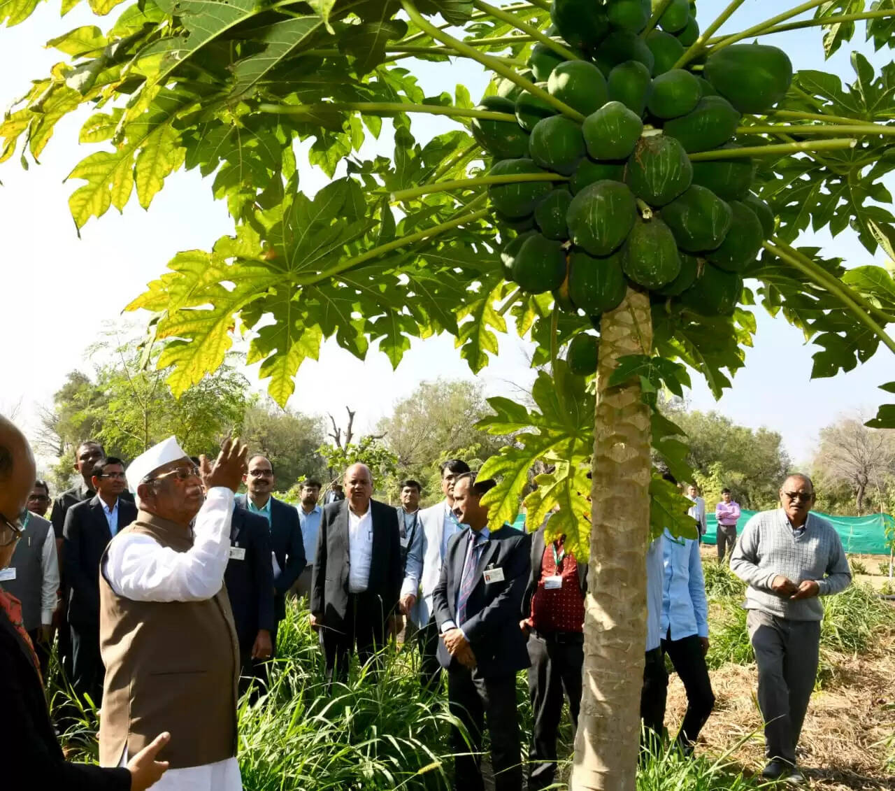 युगानुरूप संदर्भ में शोध परक अध्ययन आवश्यक: राज्यपाल