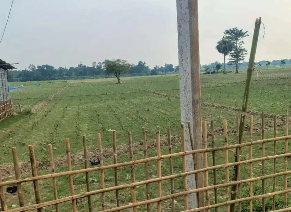 5 एकड़ 12 डिसमिल सरकारी भूमि पर अतिक्रमण, प्रशासन की कार्रवाई पर उठे सवाल
