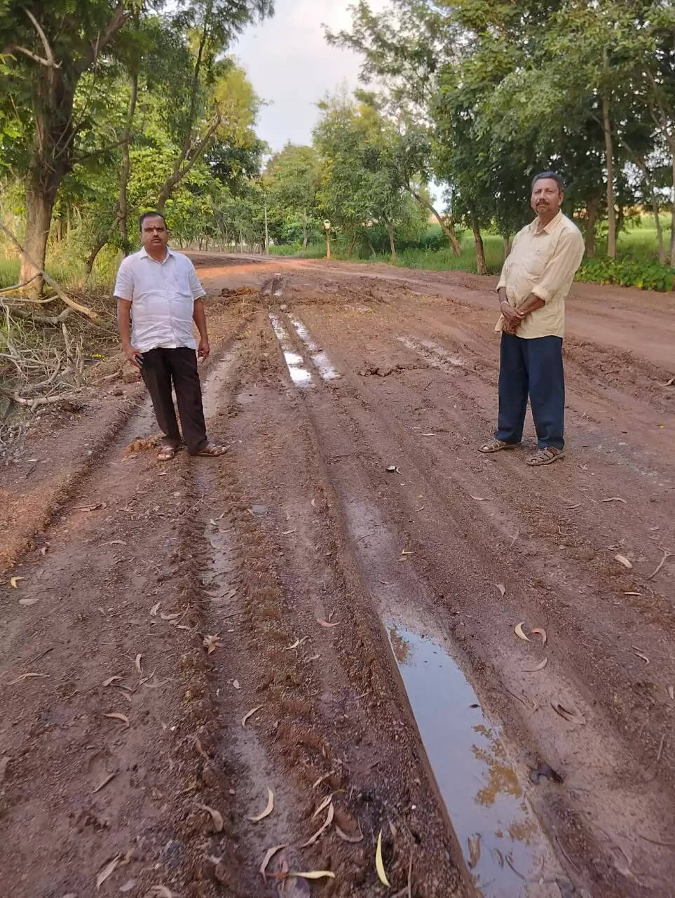सड़क बदहाल, गड्ढों से ग्रामीण परेशान
