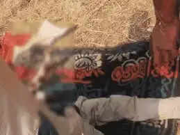 रायसेन:&nbsp;थ्रेसर मशीन में फंसकर&nbsp;किसान की मौत, खेत में काम के दौरान हुआ दर्दनाक हादसा