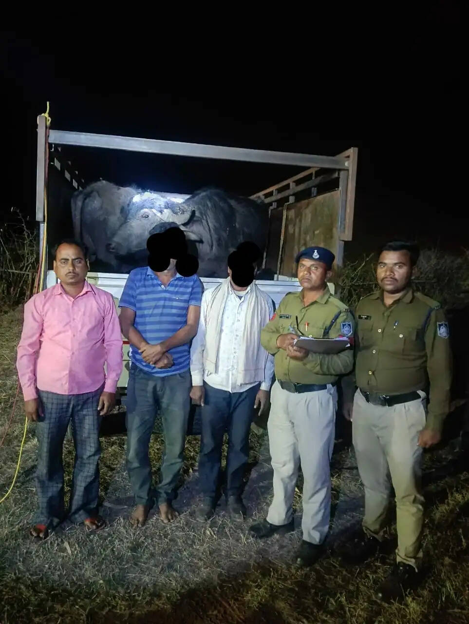 अनूपपुर: मवेशी तस्करी करते तीन आरोपी गिरफ्तार: पशुओं को छुड़ाया, वाहन जब्त