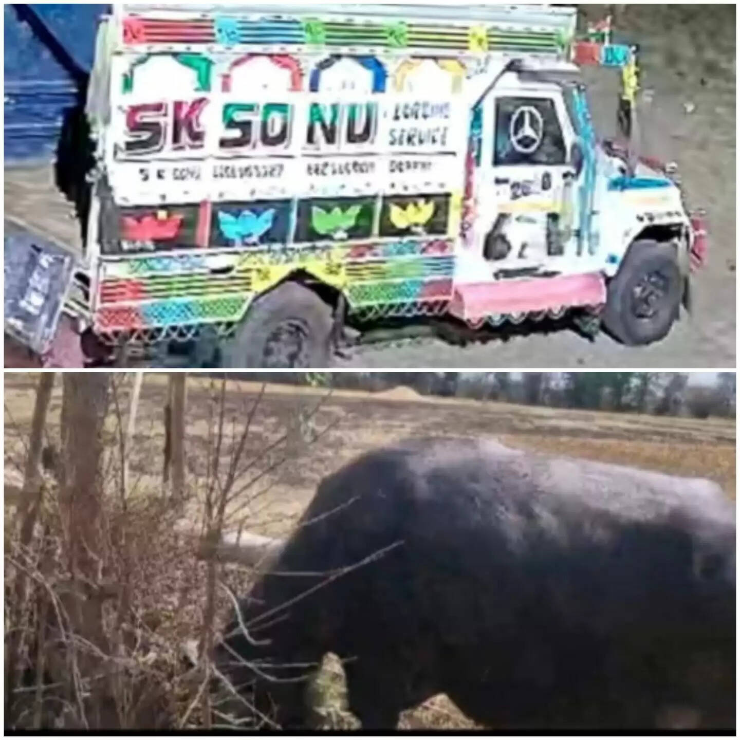 राजगढ़ः भैंस चोरी करने वाले गिरोह के छह सदस्य गिरफ्तार, पिकअप वाहन जब्त