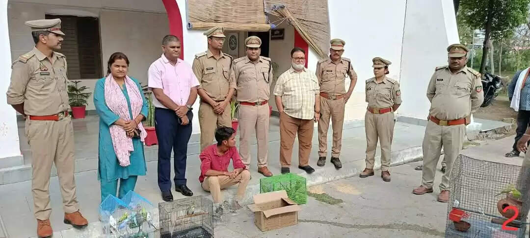 वन विभाग ने छापेमारी कर प्रतिबंधित पक्षियों व कछुएं किए बरामद, एक गिरफ्तार